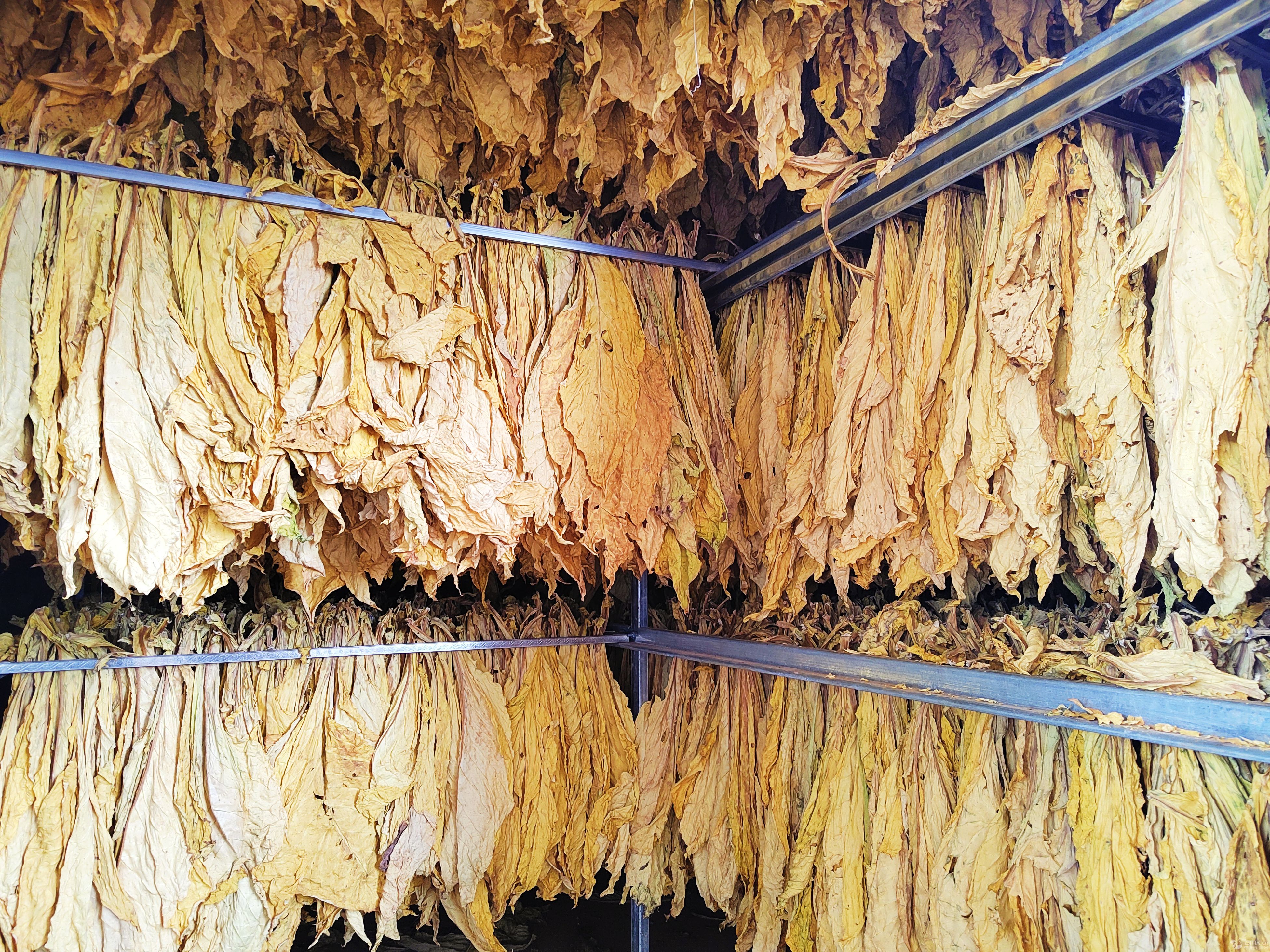 �ƳؿhӢ��患�ǧ���h�T�k���� �f��Ⱥ�������c��